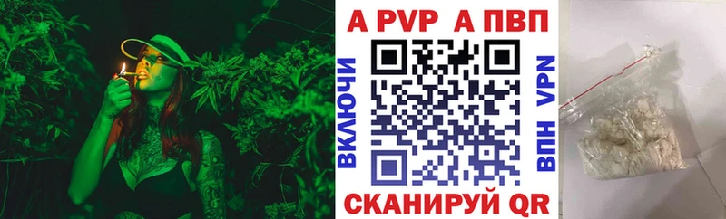 где купить наркоту  Суздаль  Alpha-PVP крисы CK 