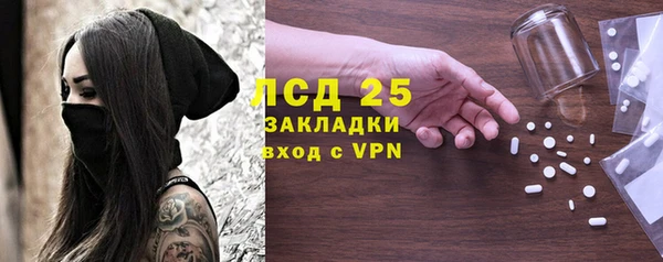 шишки Заводоуковск